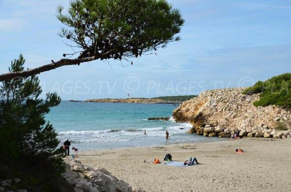 Апартаменти Sous Le Soleil Des Alpilles Мур'є Екстер'єр фото